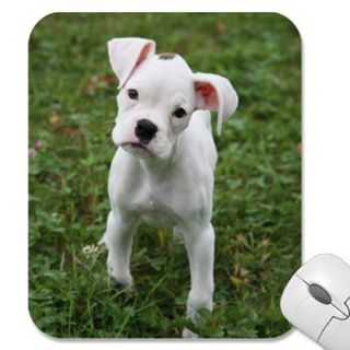 Josh Greenwood - Facebook Profile Picture of Josh Greenwood (@josh.greenwood.5095) on Facebook