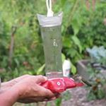 Profile Picture of Nancy Pagel Sather (@pagelsather) on Instagram