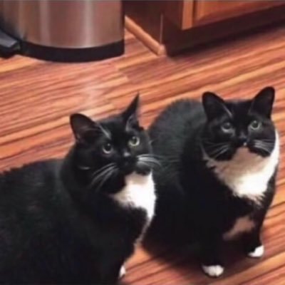 Profile Picture of KevinsAlt (@ForKevins) on Twitter