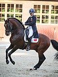 Profile Picture of Annabelle Collins (equestrian)on Wikipedia