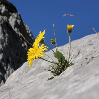 Profile Picture of Lora Muehlmann (@Lora-Muehlmann) on Facebook