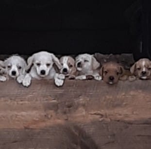 Profile Picture of Chris Crooks (@Chris-Crooks) on Facebook