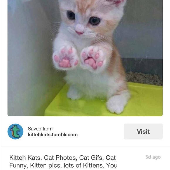 Profile Picture of Stacy Minor (@sminor1022) on Poshmark