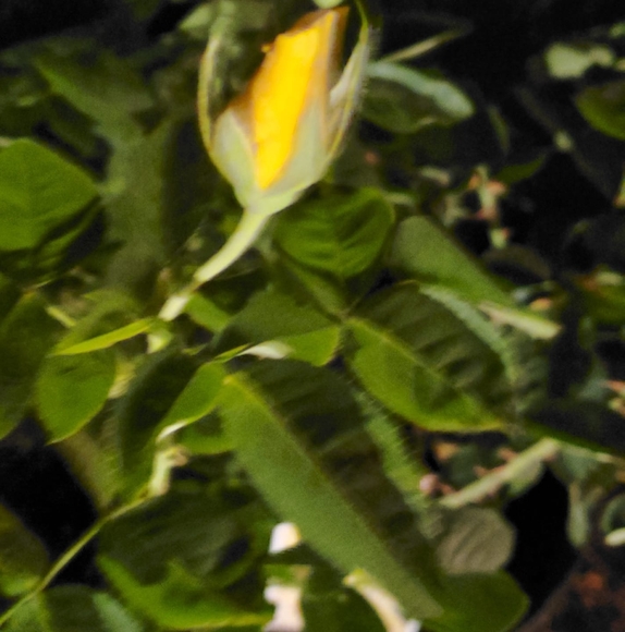 Profile Picture of Edward Fields (@fields_ej) on Poshmark