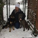 Profile Picture of Krystal Wright (@krystals_pin_up_pooches) on Instagram