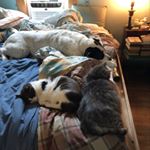 Profile Picture of David Thornberry (@david.thornberry) on Instagram