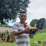 Profile Picture of James Bello (@james.bello.854214) on Facebook