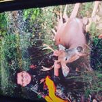 Profile Picture of cody isaacson (@cody.cni2) on Instagram