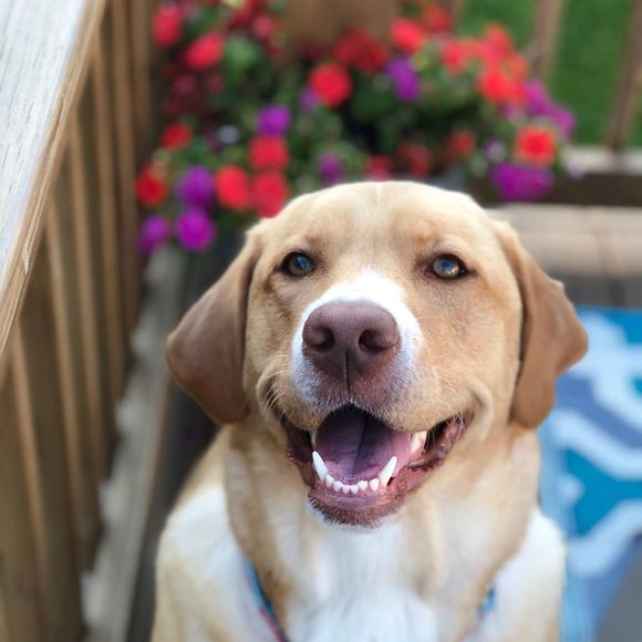 Kyle Irving - Poshmark Profile Picture of Kyle Irving (@kirving01985) on Poshmark