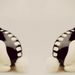Profile Picture of Albert Weißenbach (@austrian89) on Pinterest