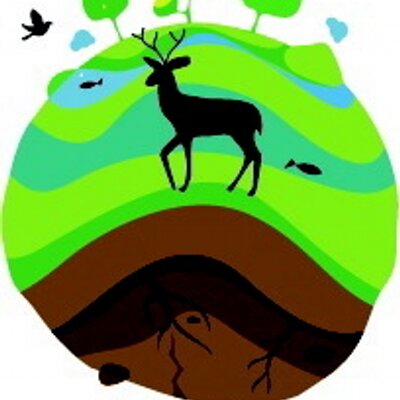 Profile Picture of Lisa Calvert (@PlanetHealers) on Twitter