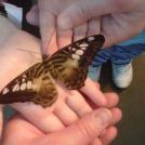 Profile Picture of Loretta Picco (@ljpicco) on Pinterest