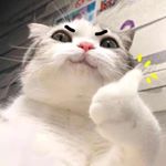 Profile Picture of Nattapon Suebsaeng (@icezywinnie) on Instagram