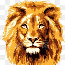 Profile Picture of Gordon Dooley (@GordonDooley3) on Twitter