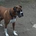 Profile Picture of Bernard Keane (@bernard.keane.75) on Facebook