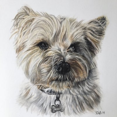 Profile Picture of Samantha Clift Art (@CliftArt) on Twitter