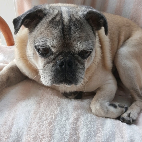 Profile Picture of Stacy Jeffrey (@sjeffrey8) on Poshmark