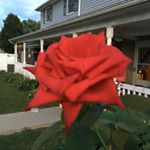 Profile Picture of Barbara Yeager (@barb1937) on Instagram