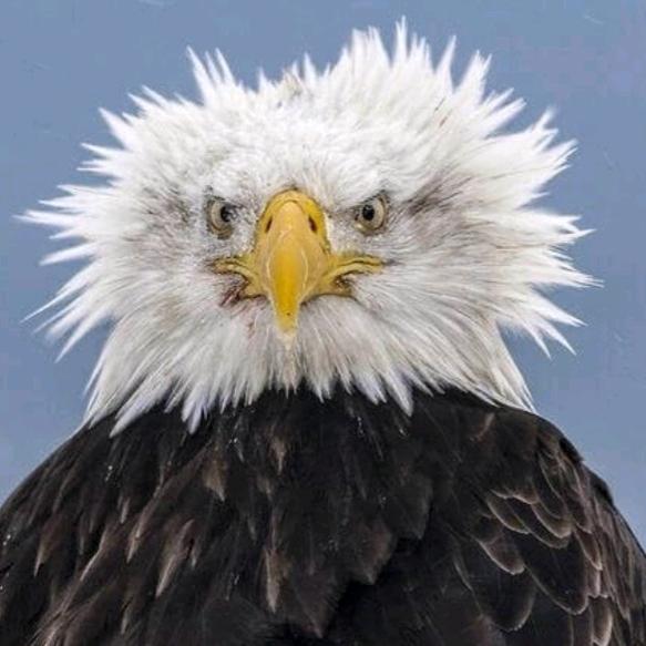 Profile Picture of Carl Rhoades (@@carlrhoades) on Tiktok