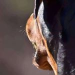 Profile Picture of Joey Queen (@joeyqueen4) on Instagram