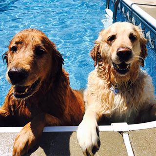 Profile Picture of Steve Alford (@steve.alford.9847) on Facebook