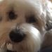 Profile Picture of Vicky Mcloughlin (@vicky.mcloughlin.10) on Facebook