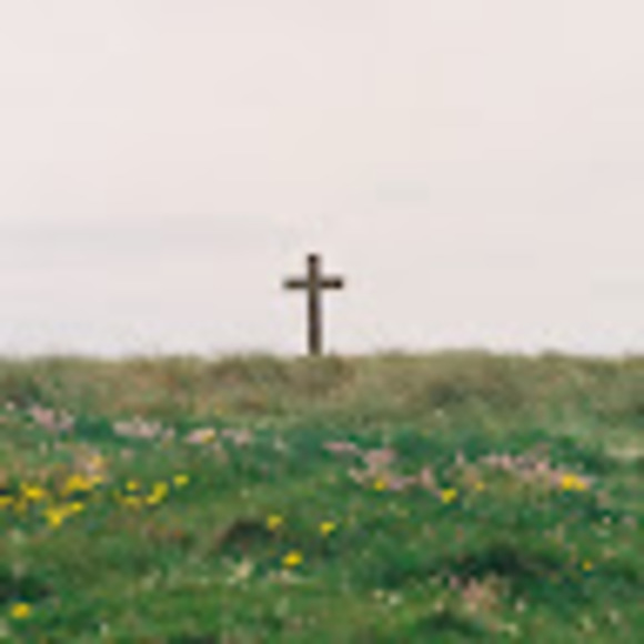 Umoni Williams - Poshmark Profile Picture of Umoni Williams (@umoniwilliams) on Poshmark