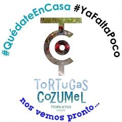 Profile Picture of Erik Cordova (@erikcordova02) on Tiktok