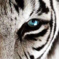 Profile Picture of Chris Ehret (@1cehret) on Twitter