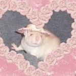 Profile Picture of Leah Webber (@loveleahkrista) on Instagram