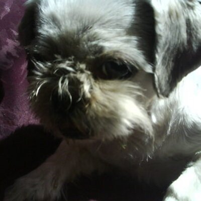 John Robert Fincham - Twitter Profile Picture of John Robert Fincham (@kossick9) on Twitter