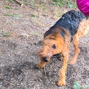 Profile Picture of Greg Tait (@MrGregtait) on Youtube