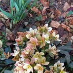 Profile Picture of Josef Hofstetter (@Josef-Hofstetter) on Facebook