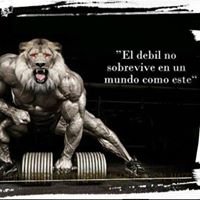 Profile Picture of Ivan Fragoso (@ivanfragoso87) on Twitter