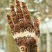 Profile Picture of Bejugama Lavanya (@bejugamal) on Pinterest