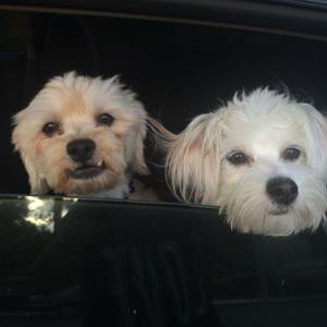 Profile Picture of Michael Funches (@M_Funch) on Twitter