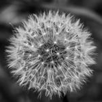 Justin Foreman - Instagram Profile Picture of Justin Foreman (@drippyshots710) on Instagram