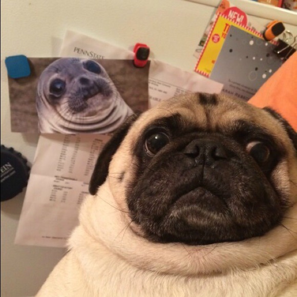 Profile Picture of Emily Tahan (@emilytahan) on Poshmark