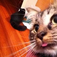 Profile Picture of Daniel Hardy (@daniel-hardy-52) on Quora