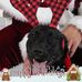 Profile Picture of Bessie Pearl Lennon (@bessiepearl.lennon.1) on Facebook