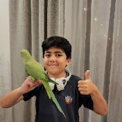 Profile Picture of Mohammad Parsa (@parsa3703) on Youtube