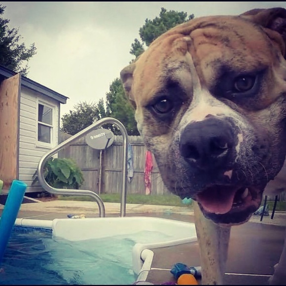 Profile Picture of Isaiah Huffman (@isaiahuff) on Poshmark