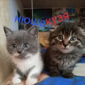 Боня и Нюша - Tiktok Profile Picture of Боня и Нюша (@bonya_a.n.d_nyusha) on Tiktok