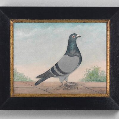 Profile Picture of Steven Barclay (@sbapetaluma) on Twitter