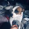 Profile Picture of David Putman (@@davidputman8) on Tiktok