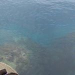 Profile Picture of 김해인 (@haein._.1104) on Instagram