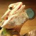 Profile Picture of Michael Guadagno Jr. (@Michael-Guadagno-Jr) on Facebook