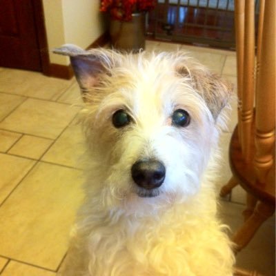 Profile Picture of Scott Lewey (@LeweyScott) on Twitter