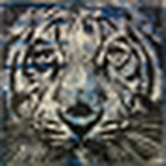 Profile Picture of Stephen Jackson (@$t£ph£n j@€k50n) on Flickr