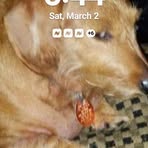 Profile Picture of Doris Ann Basham (@doris.ann.basham) on Facebook